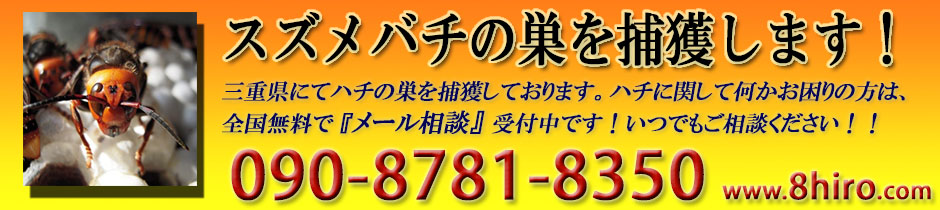 ハチ類の生け捕り捕獲等について　日本一ユニークな三重県のスズメバチハンター